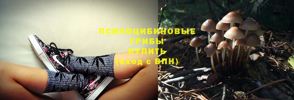 PSILOCYBIN Алзамай