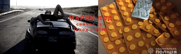PSILOCYBIN Алзамай