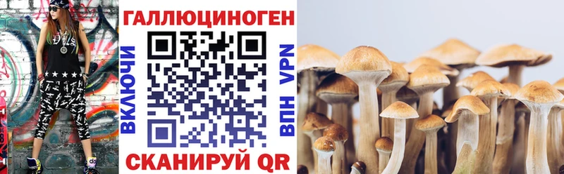 Псилоцибиновые грибы Magic Shrooms  что такое   Славск 