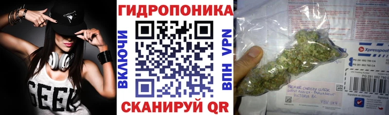 Каннабис марихуана  MEGA сайт  Славск  купить наркотики цена 